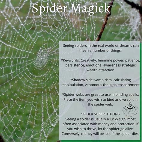 Spider Charms and Talismans: Using Arachnids in Witchcraft